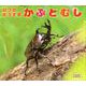 なつのおうさま かぶとむし-しぜんにタッチ！ [絵本]