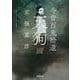 今昔百鬼拾遺 天狗(新潮文庫) [文庫]