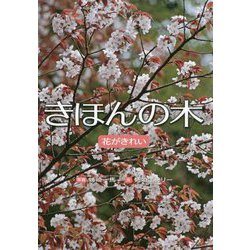 きほんの木―花がきれい [絵本]