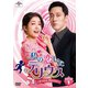 私の恋したテリウス～A Love Mission～DVD-SET1 [DVD]