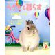うさぎと暮らす 2019年 07月号 [雑誌]