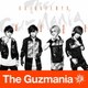 The Guzmania／開花前夜