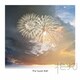 The Super Ball／花火