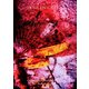 DIR EN GREY／FROM DEPRESSION TO ________ [mode of 16-17] [DVD]