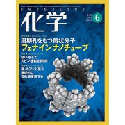化学 2019年 06月号 [雑誌]