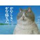 かなしきデブ猫ちゃん [絵本]