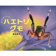 ちいさなハンター ハエトリグモ(ふしぎいっぱい写真絵本〈37〉) [絵本]