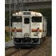 鉄道アーカイブシリーズ55 JR東海 紀勢本線・参宮線・関西本線の車両たち 紀勢本線(新宮～亀山)/参宮線(多気～鳥羽)/関西本線(名古屋～亀山) [DVD]