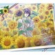 不二周助／ハッピーサマーバレンタイン