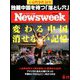 Newsweek (ニューズウィーク日本版) 2019年 6/11号 [雑誌]