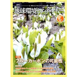 月刊 ビジネスアイエネコ 2019年 06月号 [雑誌]