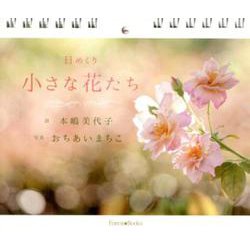 日めくり 小さな花たち [単行本]