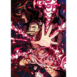 鬼滅の刃 第九巻 [DVD]