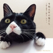 令和元年の猫たち～秋元順子 愛をこめて～