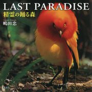 LAST PARADISE 精霊の踊る森 [単行本]