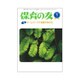 保育の友 2019年 07月号 [雑誌]