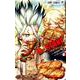 Dr.STONE 11(ジャンプコミックス) [コミック]