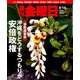 週刊 金曜日 2019年 6/14号 [雑誌]