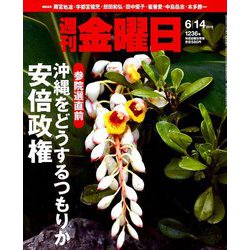 週刊 金曜日 2019年 6/14号 [雑誌]