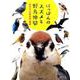 にっぽんのスズメと野鳥仲間 [単行本]