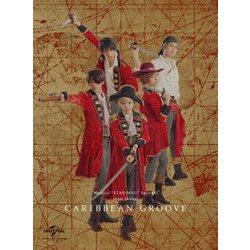ミュージカル「スタミュ」スピンオフ team柊 単独公演「Caribbean Groove」 [DVD]