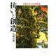 抗いと創造－沖縄文学の内部風景 [単行本]