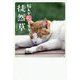 悩みがニャくなる徒然草 [単行本]