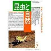 昆虫と自然 2019年 07月号 [雑誌]