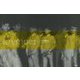 40ymo 1979-2019 [単行本]