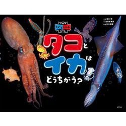 タコとイカはどうちがう？（いきものくらべる写真絵本<1>） [絵本]