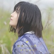 自分だけの空