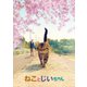 ねことじいちゃん 豪華版 [Blu-ray Disc]