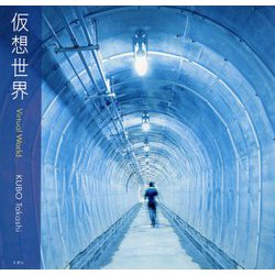仮想世界 [単行本]