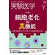 実験医学 Vol.37No.11 [単行本]