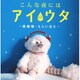 こんな夜にはアイのウタ～愛燦燦・もらい泣き～