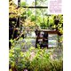 庭 2019年 08月号 [雑誌]