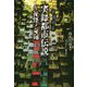 実録都市伝説～社怪ノ奇録（竹書房文庫） [文庫]