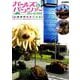 ガールズ&パンツァー山田卓司情景作品集（ホビージャパンMOOK 950） [ムックその他]