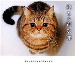 ねこの寅次郎 [単行本]