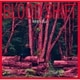 浅井健一／BLOOD SHIFT
