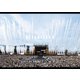 欅坂46／欅共和国2018 [DVD]