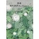 西周 現代語訳セレクション [単行本]
