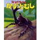 なつのもりの かぶとむし [絵本]