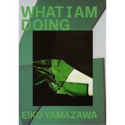 山沢栄子 私の現代 [単行本]