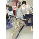 色悪作家と校正者の多情(ディアプラス文庫) [文庫]
