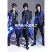 闇夜に舞う青い鳥