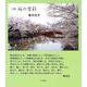 詩集 桜の季節 [単行本]