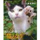 わたしが撮りたい"猫となり" [単行本]