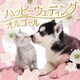 ハッピー・ウェディング・オルゴール