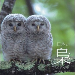 日本の梟 [単行本]